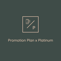 Platinum Plan