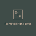 Silver Plan
