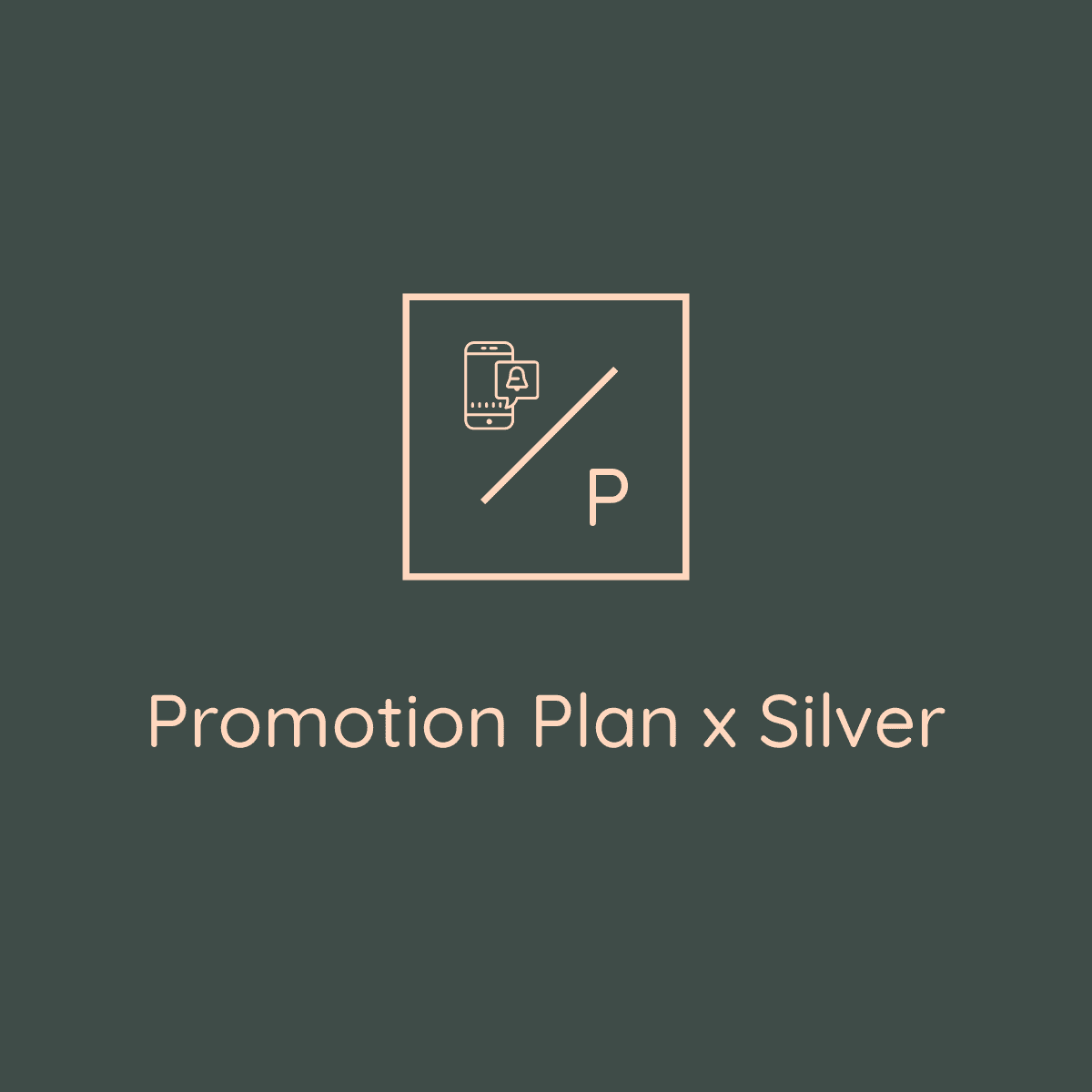 Silver Plan